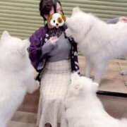 ヒメ日記 2026/02/26 17:33 投稿 ちはる KINDAN-禁断-