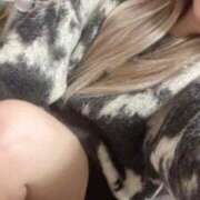 ヒメ日記 2025/11/18 03:20 投稿 めぐ わちゃわちゃ密着リアルフルーちゅ西船橋