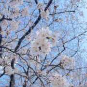 ヒメ日記 2026/04/09 23:33 投稿 らん あふたーすくーる本店