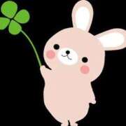 ヒメ日記 2026/01/23 22:50 投稿 せり Beppin house