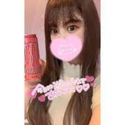 ヒメ日記 2025/12/08 13:08 投稿 アンズ バニーコレクション新潟店