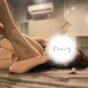 ヒメ日記 2026/01/28 10:01 投稿 りぼん The White