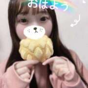 ヒメ日記 2026/04/14 11:45 投稿 りぼん The White