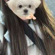 ヒメ日記 2025/12/15 19:31 投稿 みなみ 千葉人妻セレブリティ（ユメオト）