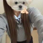 ヒメ日記 2025/12/22 20:35 投稿 みなみ 千葉人妻セレブリティ（ユメオト）