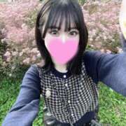 ヒメ日記 2025/11/16 12:14 投稿 美遠おりか ブルーバード