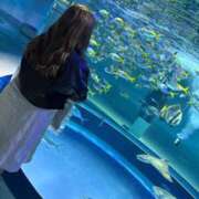 ヒメ日記 2025/11/29 23:49 投稿 りりか 白いぽっちゃりさん五反田店