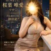 ヒメ日記 2026/06/14 23:00 投稿 桜庭 唯愛 MADAM RENA 名古屋