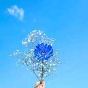 ヒメ日記 2025/11/27 22:47 投稿 まりあ 福岡ちゃんこ大牟田店