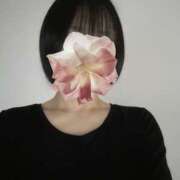 ヒメ日記 2025/11/25 13:23 投稿 あまね 藤沢人妻城