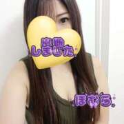 ヒメ日記 2025/12/26 19:17 投稿 ほむら もしもし亀よ亀さんよ 名古屋店