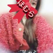 ヒメ日記 2026/01/07 16:28 投稿 ほむら もしもし亀よ亀さんよ 名古屋店