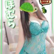 ヒメ日記 2026/01/24 15:32 投稿 ほむら もしもし亀よ亀さんよ 名古屋店