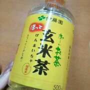 ヒメ日記 2026/01/31 20:57 投稿 ほむら もしもし亀よ亀さんよ 名古屋店