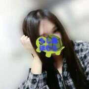 ヒメ日記 2026/02/19 21:09 投稿 ほむら もしもし亀よ亀さんよ 名古屋店