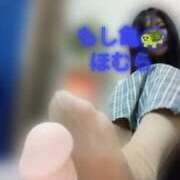 ヒメ日記 2026/02/20 20:34 投稿 ほむら もしもし亀よ亀さんよ 名古屋店