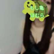 ヒメ日記 2026/02/21 15:51 投稿 ほむら もしもし亀よ亀さんよ 名古屋店