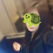 ヒメ日記 2026/04/10 21:06 投稿 ほむら もしもし亀よ亀さんよ 名古屋店