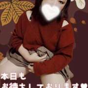 ヒメ日記 2025/11/28 14:51 投稿 あかり 宮城仙南ちゃんこ