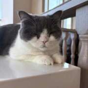 ヒメ日記 2026/01/26 22:23 投稿 りお 東京妻