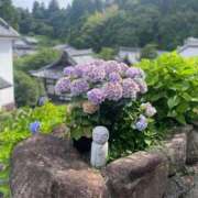 ヒメ日記 2026/02/25 11:09 投稿 こころ いざ候 別館