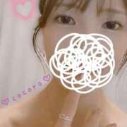 ヒメ日記 2026/02/28 11:04 投稿 こころ いざ候 別館