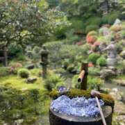ヒメ日記 2026/06/02 10:42 投稿 こころ いざ候 別館
