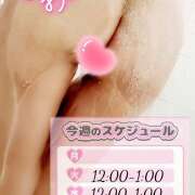 ヒメ日記 2025/11/17 19:04 投稿 くれあ★2【超絶エッチ美女】 やん姫SP