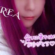 ヒメ日記 2025/11/23 03:19 投稿 くれあ★2【超絶エッチ美女】 やん姫SP