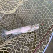 ヒメ日記 2025/11/18 22:53 投稿 あこ もみもみワンダーランド