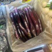 ヒメ日記 2025/11/28 20:17 投稿 あこ もみもみワンダーランド