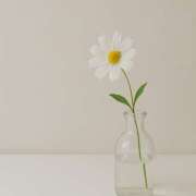 ヒメ日記 2025/11/17 12:04 投稿 涼森星那(すずもりせいな) 五十路マダムエクスプレス厚木店(カサブランカグループ)