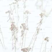 ヒメ日記 2026/01/20 14:16 投稿 涼森星那(すずもりせいな) 五十路マダムエクスプレス厚木店(カサブランカグループ)