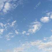 ヒメ日記 2026/01/31 12:18 投稿 涼森星那(すずもりせいな) 五十路マダムエクスプレス厚木店(カサブランカグループ)