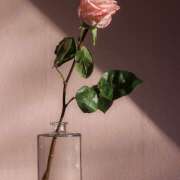 涼森星那(すずもりせいな) 曇り空の午後 五十路マダムエクスプレス厚木店(カサブランカグループ)