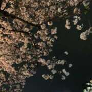 いぶ 夜桜🌸 プロフィール天王寺