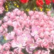 ヒメ日記 2026/03/31 16:43 投稿 ナノ On a best（オンナベスト）