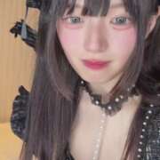 ヒメ日記 2026/02/10 01:00 投稿 ちゅーる【沼落ち必至激かわ娘】 STELLA TOKYO－ステラトウキョウ－