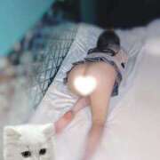 ヒメ日記 2026/04/02 18:28 投稿 ちゅーる【沼落ち必至激かわ娘】 STELLA TOKYO－ステラトウキョウ－