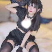 ちゅーる【沼落ち必至激かわ娘】 😻😻😻 STELLA TOKYO－ステラトウキョウ－