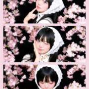 ヒメ日記 2026/06/12 16:18 投稿 ちゅーる【沼落ち必至激かわ娘】 STELLA TOKYO－ステラトウキョウ－