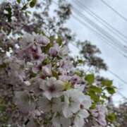 ヒメ日記 2026/04/01 14:06 投稿 みか 錦糸町人妻セレブリティ（ユメオト）