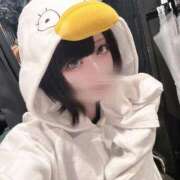 ヒメ日記 2025/11/19 03:17 投稿 りる DIVAセカンドシーズン土浦店