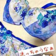 ヒメ日記 2025/11/22 11:00 投稿 北川ねこ セレブショップ新宿（東京ハレ系）