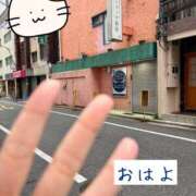 ヒメ日記 2025/11/26 08:29 投稿 北川ねこ セレブショップ新宿（東京ハレ系）