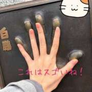 ヒメ日記 2025/12/14 08:21 投稿 北川ねこ セレブショップ新宿（東京ハレ系）