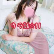 北川ねこ プロフィールのウラ話⭐︎11 セレブショップ新宿（東京ハレ系）