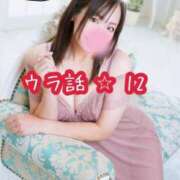 北川ねこ プロフィールのウラ話 ⭐︎ 12 セレブショップ新宿（東京ハレ系）