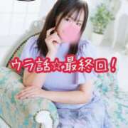 北川ねこ 【最終回】プロフィールのウラ話 セレブショップ新宿（東京ハレ系）