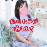 ヒメ日記 2026/02/08 06:30 投稿 北川ねこ セレブショップ新宿（東京ハレ系）